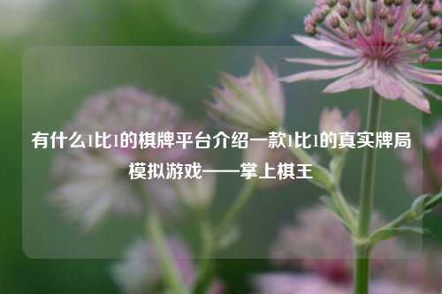 有什么1比1的棋牌平台介绍一款1比1的真实牌局模拟游戏——掌上棋王