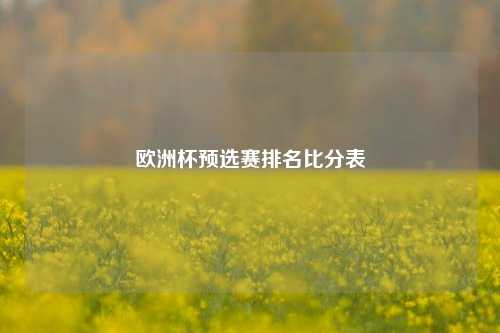 欧洲杯预选赛排名比分表