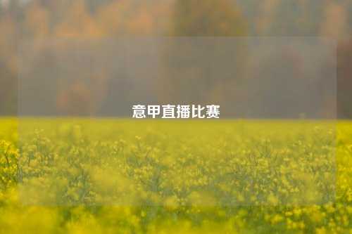 意甲直播比赛