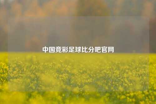 中国竞彩足球比分吧官网