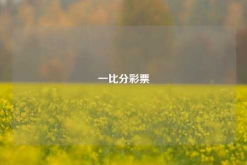 一比分彩票