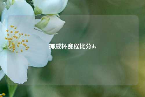 挪威杯赛程比分ds