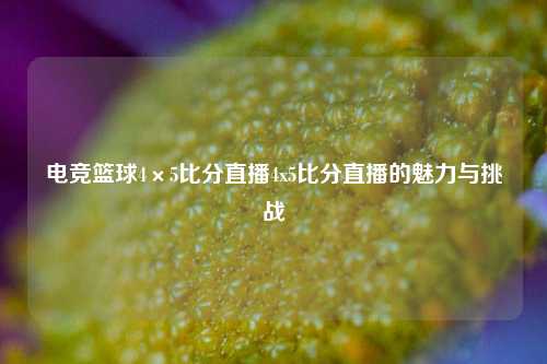 电竞篮球4×5比分直播4x5比分直播的魅力与挑战