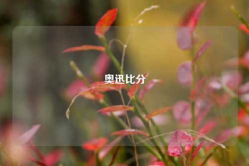 奥迅比分