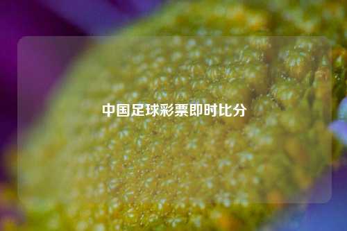 中国足球彩票即时比分