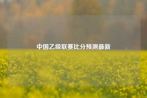 中国乙级联赛比分预测最新