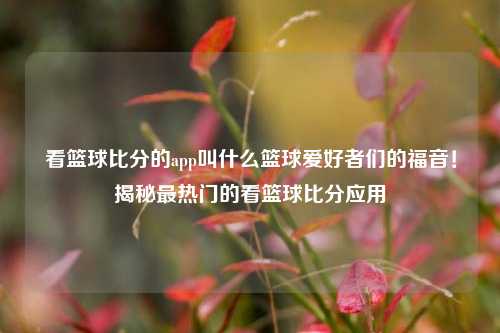 看篮球比分的app叫什么篮球爱好者们的福音！揭秘最热门的看篮球比分应用