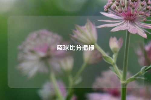 篮球比分播报