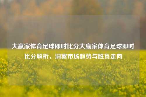 大赢家体育足球即时比分大赢家体育足球即时比分解析，洞察市场趋势与胜负走向