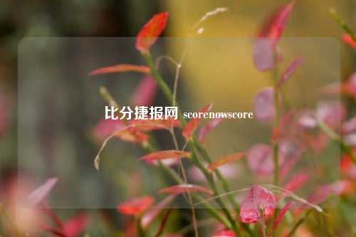 比分捷报网 scorenowscore