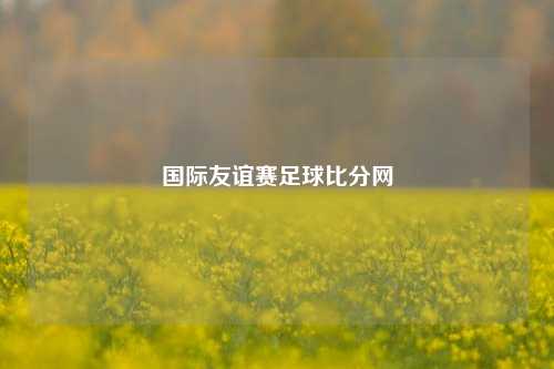 国际友谊赛足球比分网