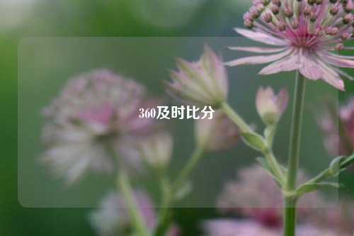 360及时比分