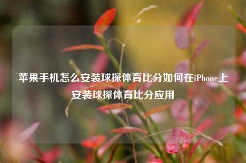 苹果手机怎么安装球探体育比分如何在iPhone上安装球探体育比分应用