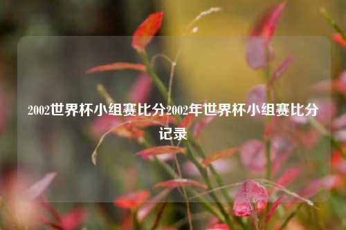 2002世界杯小组赛比分2002年世界杯小组赛比分记录