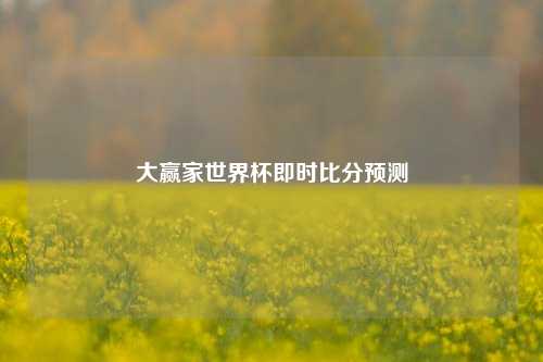 大赢家世界杯即时比分预测
