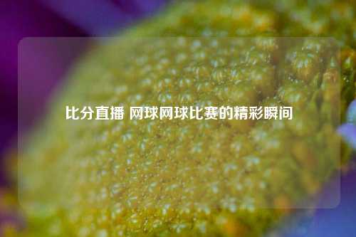 比分直播 网球网球比赛的精彩瞬间