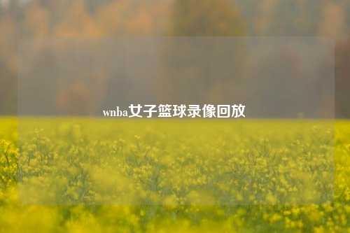 wnba女子篮球录像回放