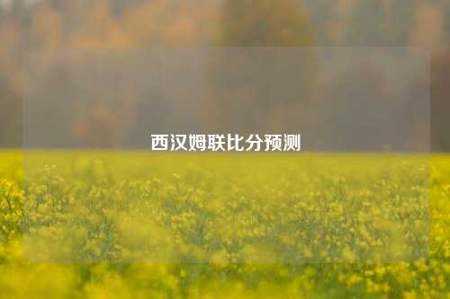 西汉姆联比分预测