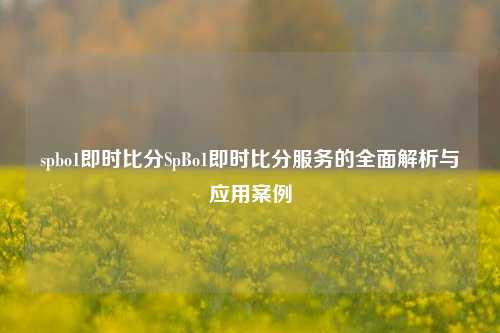 spbo1即时比分SpBo1即时比分服务的全面解析与应用案例