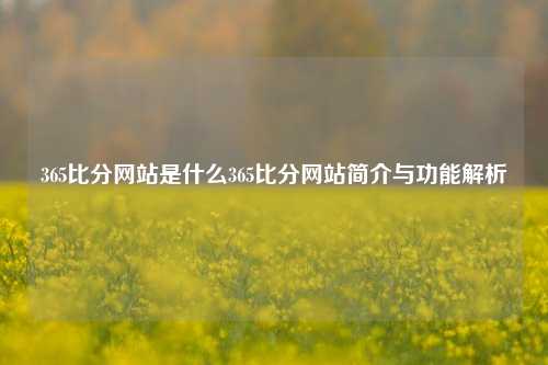 365比分网站是什么365比分网站简介与功能解析