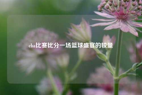 cba比赛比分一场篮球盛宴的较量