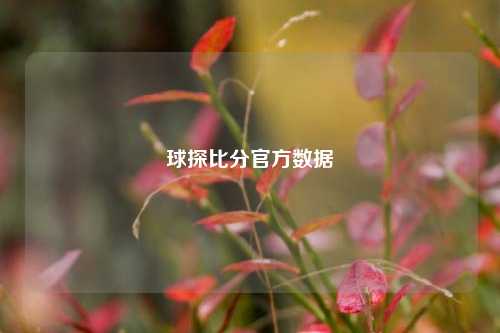 球探比分官方数据