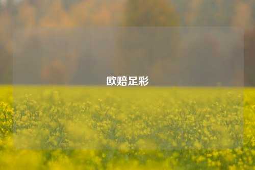 欧赔足彩