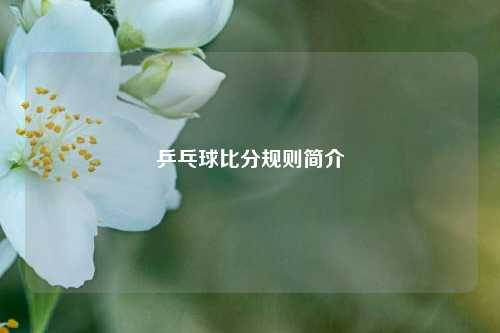 乒乓球比分规则简介