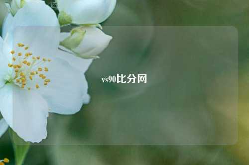 vs90比分网