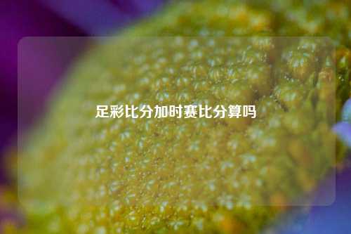 足彩比分加时赛比分算吗