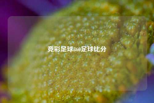 竞彩足球360足球比分