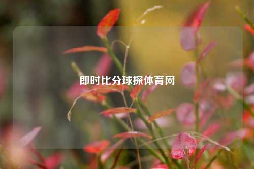 即时比分球探体育网