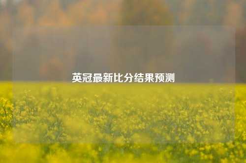 英冠最新比分结果预测