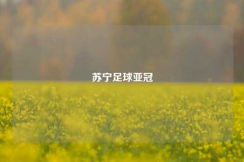 苏宁足球亚冠