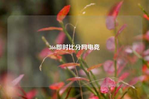 366即时比分网电竞
