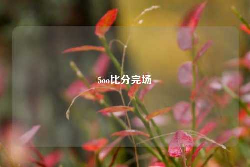 5oo比分完场