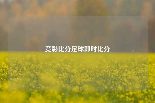 竞彩比分足球即时比分