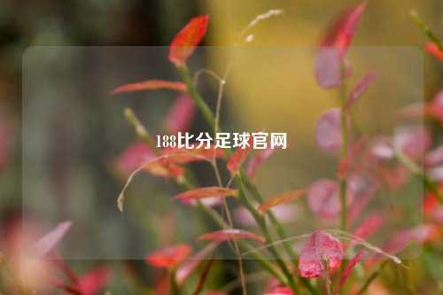 188比分足球官网