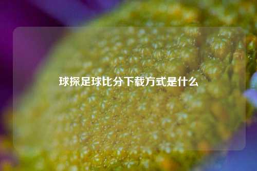 球探足球比分下载方式是什么