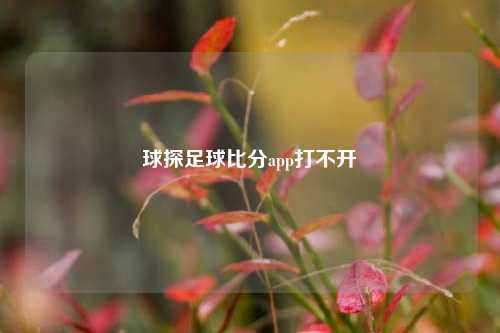 球探足球比分app打不开