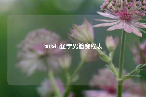 2018cba辽宁男篮赛程表