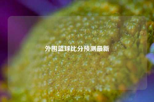 外围篮球比分预测最新