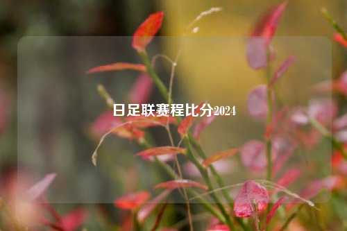日足联赛程比分2024