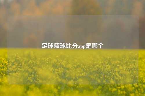 足球篮球比分app是哪个