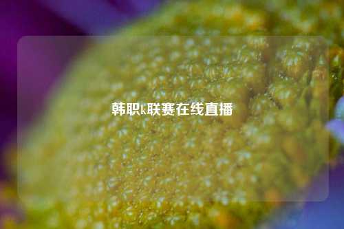 韩职k联赛在线直播