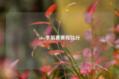nba季前赛赛程比分