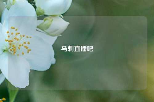 马刺直播吧