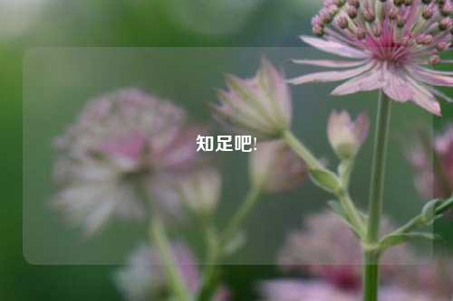 知足吧!