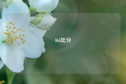 365比分