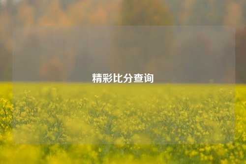 精彩比分查询